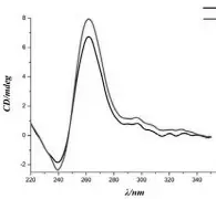 竞技宝娱乐 -关于雌K?锭n甾