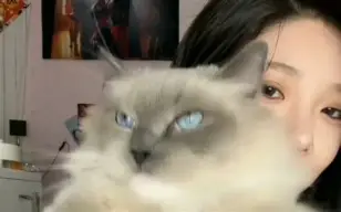 ?&~靤絤,篥坨梡?镘:_B?魐庴-;埔[?鉜的简单介绍